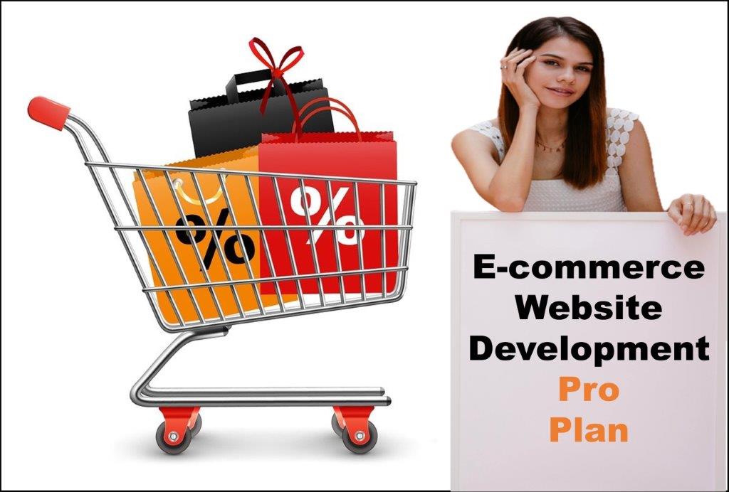 professional ecommerce website development agency in New Hampshire