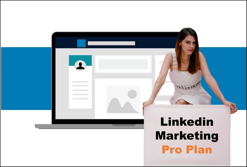 linkedin marketing agency in New Hampshire