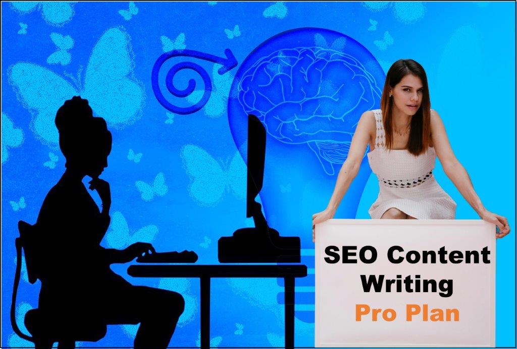 seo content writing agency New Hampshire