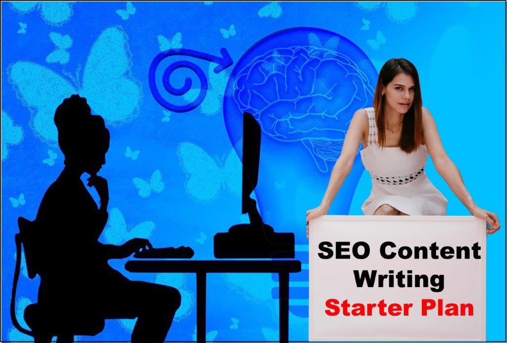 seo content writing service provider in New Hampshire