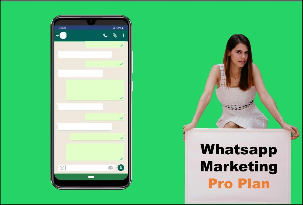 whatsapp marketing agency in New Hampshire