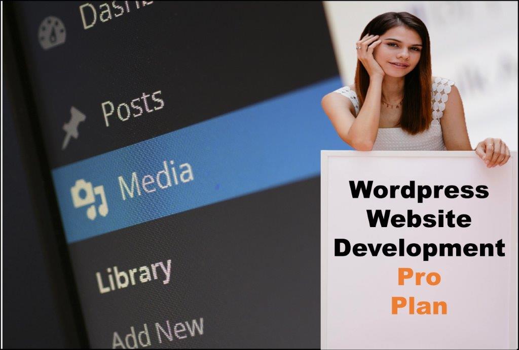 wordpress website designing in New Hampshire