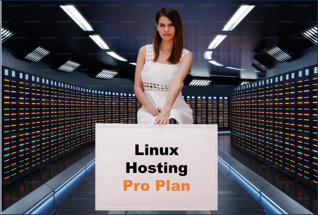 linux hosting windows hosting provider in New Hampshire